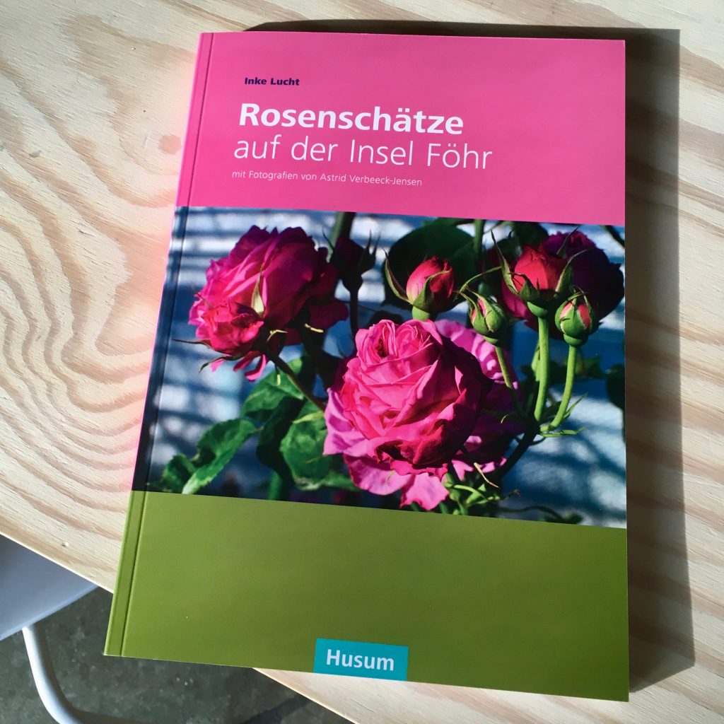 Föhr, Friesen-Museum, Rosenschätze, Editorial Design